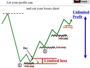 Cut losses