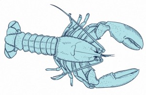 Lobster