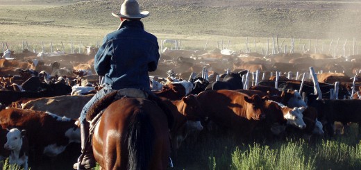 Weekly Roundup, 24th Match 2015