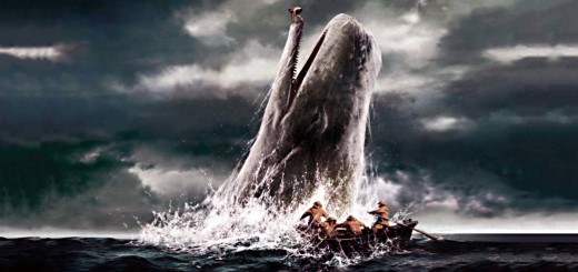 Piggyback Portfolio 9