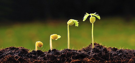 SmallCap Growth Portfolio 4