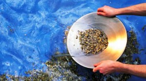 screen1 (Stock Screens &ndash; Joel Greenblatt&rsquo;s Magic Formula)