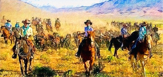 Weekly Roundup, 15th July 2015