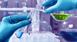 testing (Back-testing the Investment Trust Portfolio)