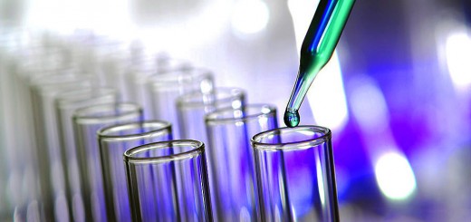 Investment Trust Portfolio