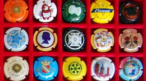 SmallCap portfolio (SmallCap (AIM) Portfolio)