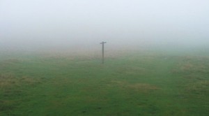 Signpost in Fog (Andy Kessler &ndash; Investor Profile)