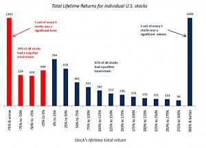 Negative-Lifetime-Total-Return-1