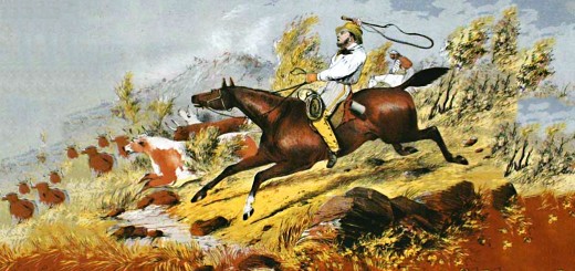 Weekly Roundup. 9th February 2016