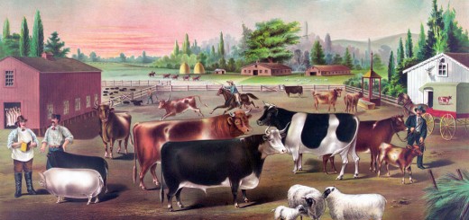 Weekly Roundup, 26th April 2016