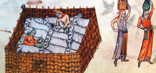 Weekly Roundup, 4th May 2016