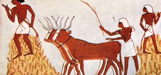 Weekly Roundup, 24th May 2016