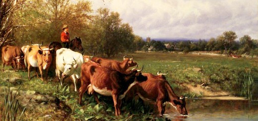 Weekly Roundup, 31st May 2016