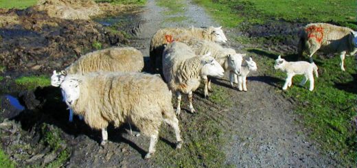 Weekly Roundup, 16th August 2016