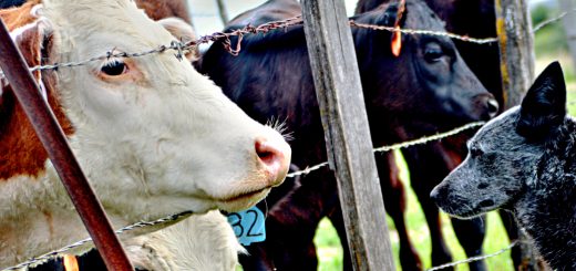 Weekly Roundup, 23rd August 2016