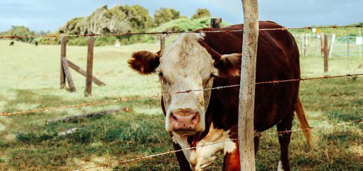 Weekly Roundup, 30th August 2016