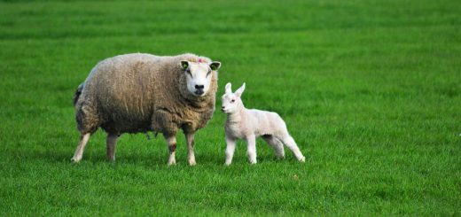 Weekly Roundup, 6th September 2016