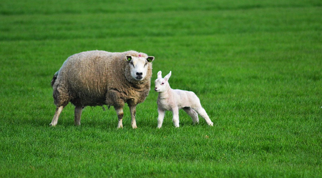 Weekly Roundup, 6th September 2016