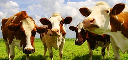 Weekly Roundup, 20th September 2016