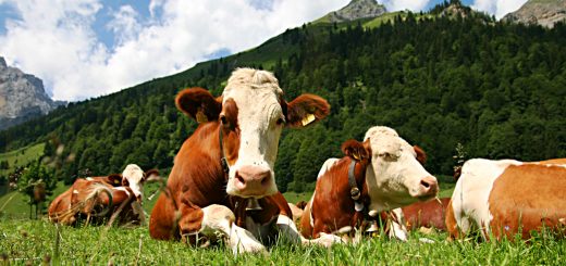 Weekly Roundup, 18th October 2016