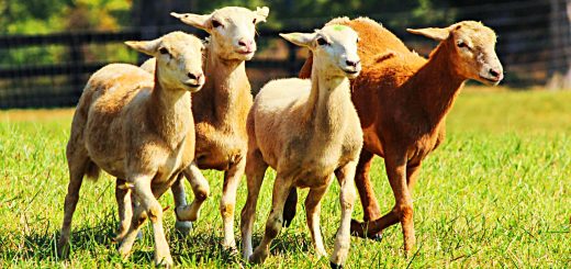 Weekly Roundup, 8th November 2016