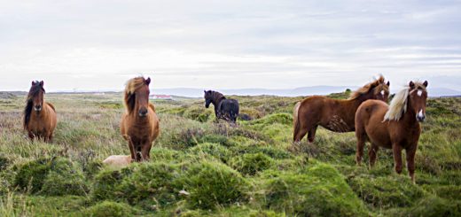 Weekly Roundup, 17th November 2016