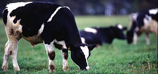 Weekly Roundup, 22nd November 2016