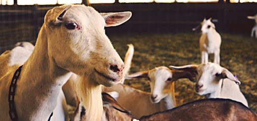 Weekly Roundup, 22nd December 2016