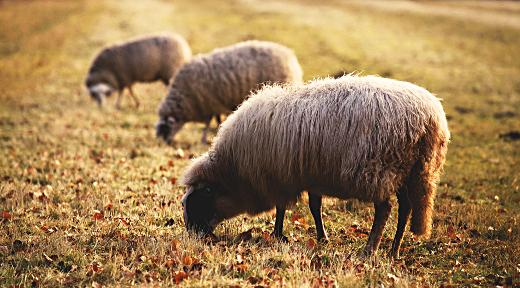 Weekly Roundup, 14th March 2017