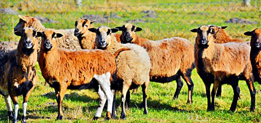 Weekly Roundup. 21st March 2017