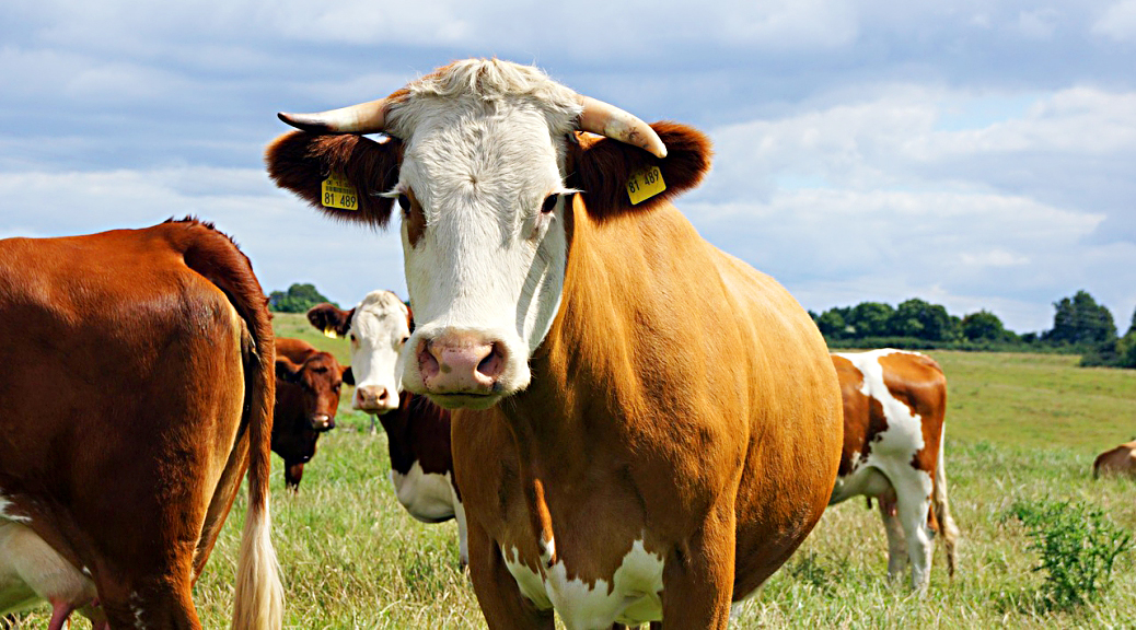 Weekly Roundup, 28th March 2017