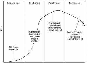 Company growth cycle