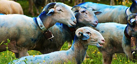 Weekly Roundup, 25th May 2017