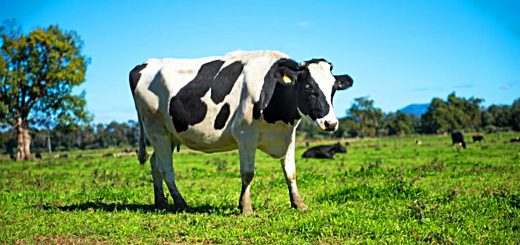 Weekly Roundup, 9th May 2017