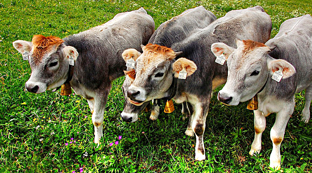 Weekly Roundup, 30th may 2017