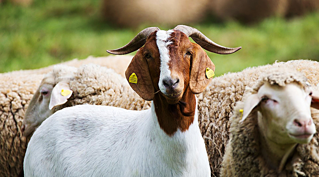 Weekly Roundup, 27th June 2017