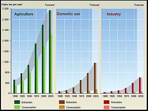 Global water consumption