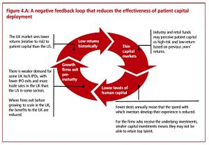 Negative feedback loop