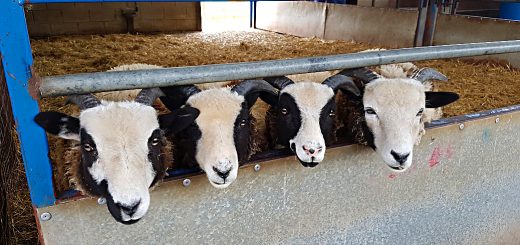 Weekly Roundup, 29th August 2017