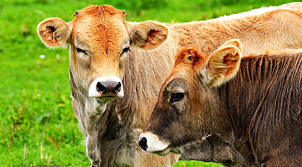 Weekly Roundup, 3rd October 2017