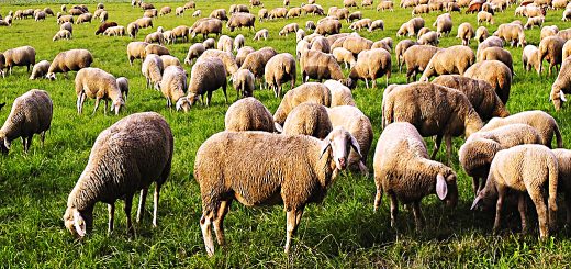 Weekly Roundup, 24th October 2017