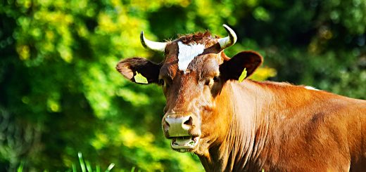 Weekly Roundup, 7th November 2017