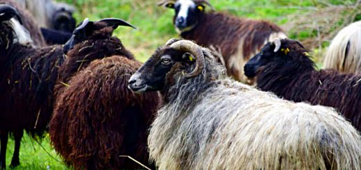 Weekly Roundup, 28th November 2017