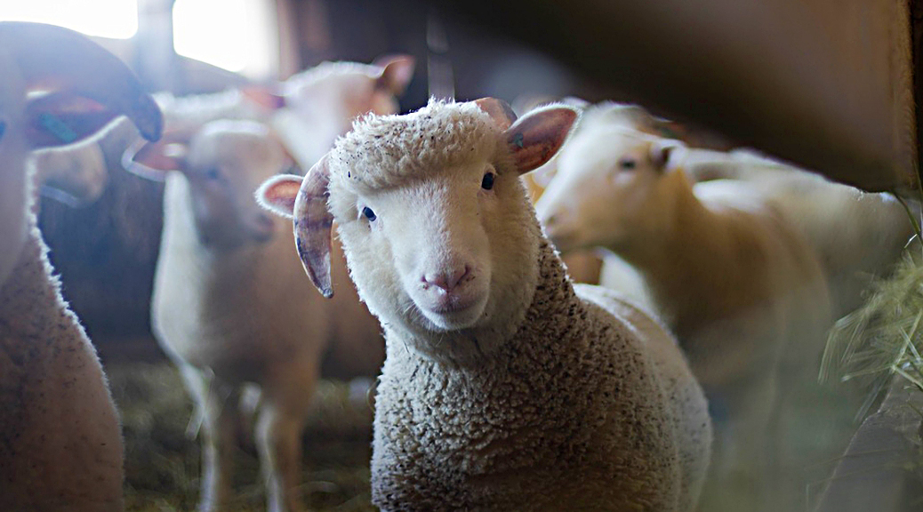 Weekly Roundup, 27th December 2017