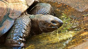 Annual Portfolio Review 2017 (Annual Portfolio Review 2017)