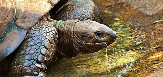 Annual Portfolio Review 2017