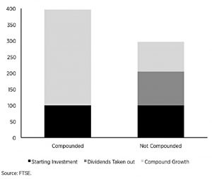 Dividend compounding