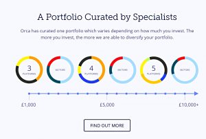 Orca diversification