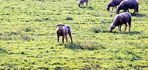 Weekly Roundup, 13th February 2018