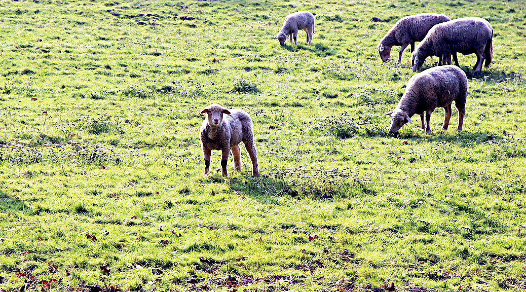 Weekly Roundup, 13th February 2018